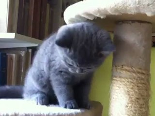 Encore Hutch et l'aspirateur et un peu Haendel..