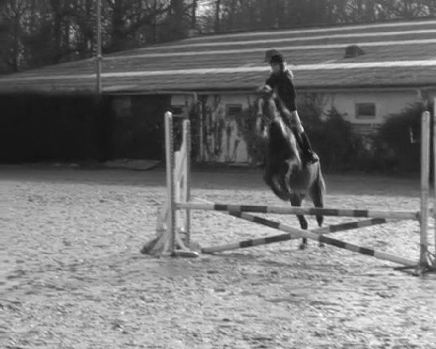 Apollon , poney de mes rêves ...