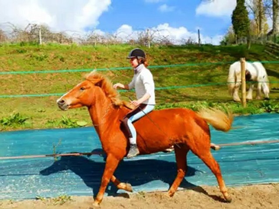 Sam, Maya, Soleil ; liberté équestre ♥♥