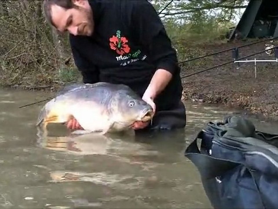 Pêche de la carpe des appâts anti chats : Test des bouillettes Harmfull C.C. (Maco Capa)