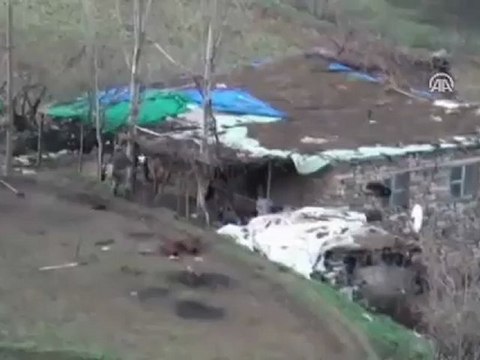 Terör örgütüne yönelik operasyon