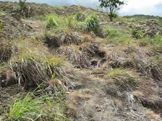 Chantier Mango au 21 avril 2012