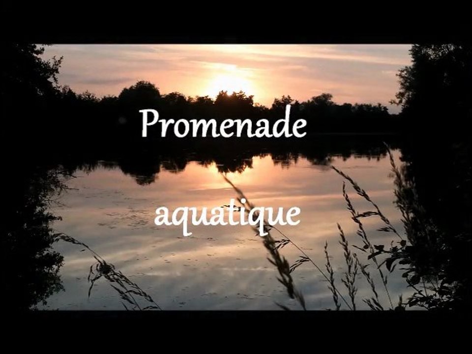 Promenade aquatique ( maco capa )