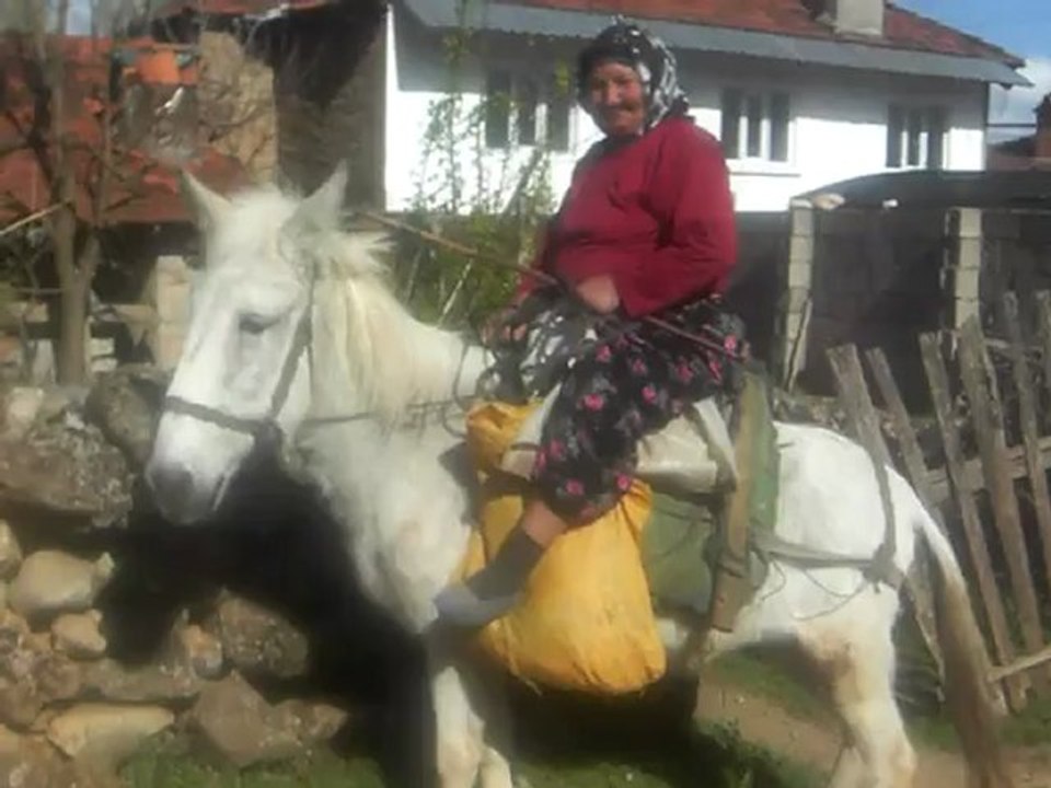 ACIPAYAM GÜNEY KÖYÜNDE ATABİNMEYE ÇALIŞAN NENEMİZ