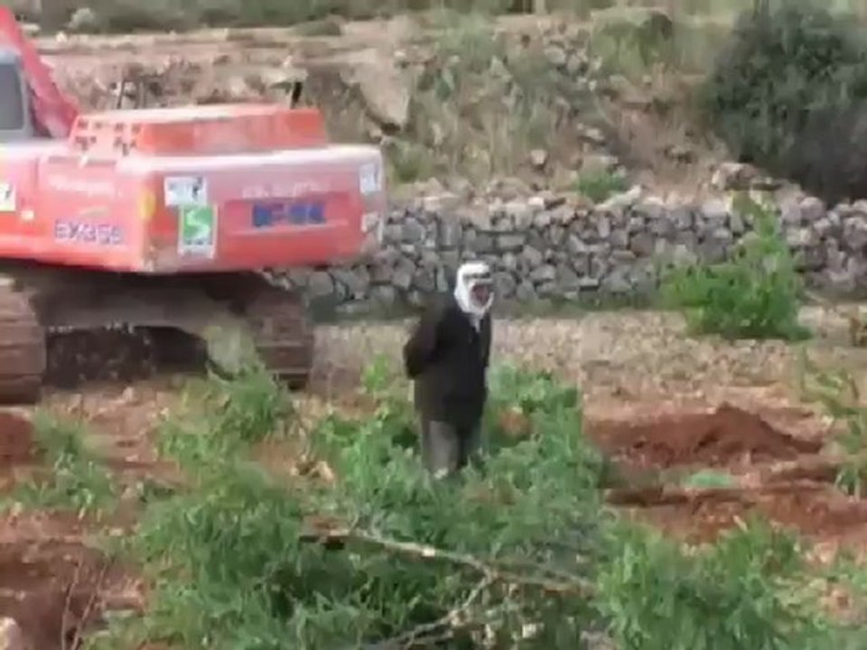 israel tu ne voleras point