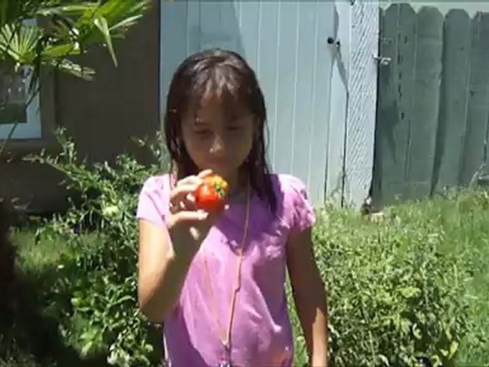 Karissa picking first tomato