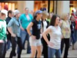 St.Louis Participates in Worlds largest Simultaneous Flash Mob