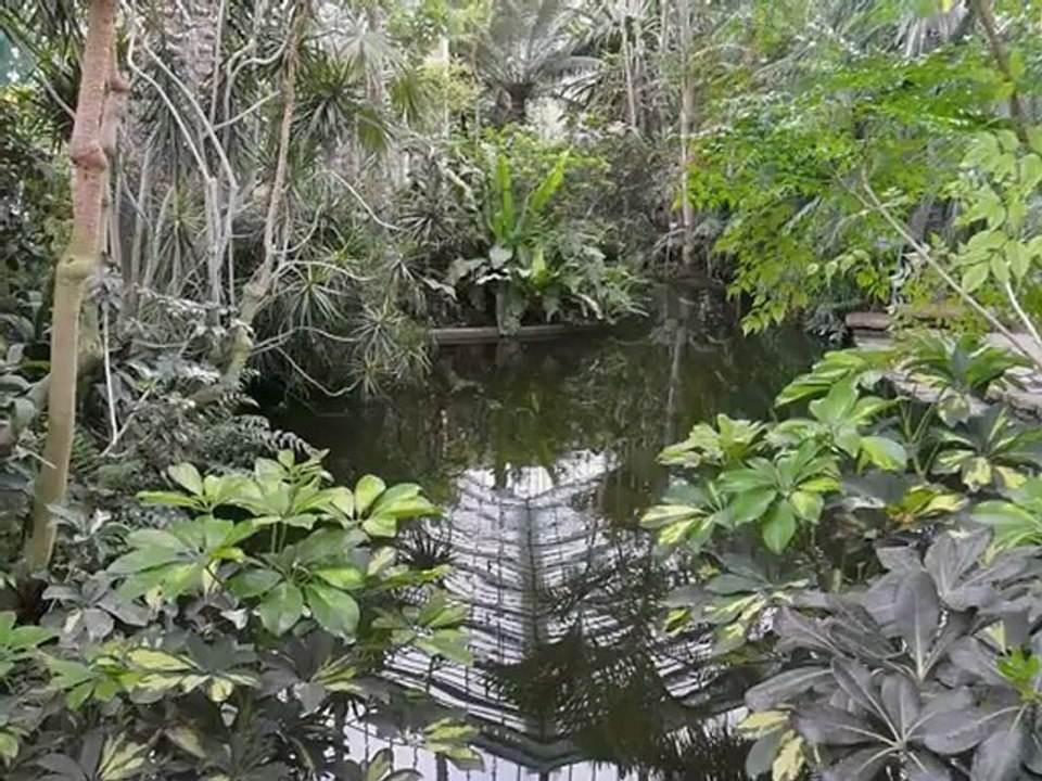 promenade dans les serres d'Auteuil