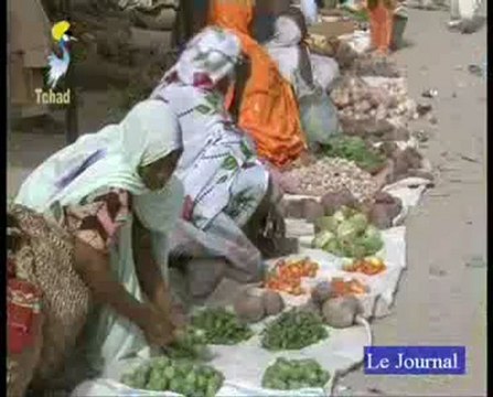 JT TCHAD FRANçAIS DU 21 AVRIL 2012 SUR TOL