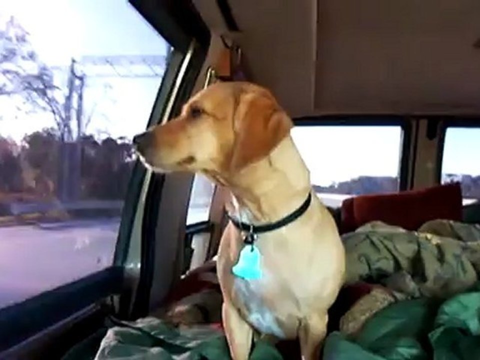 75- Driving Home