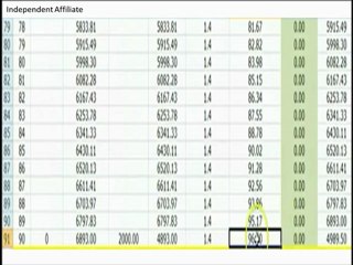 How to Join Zeek Rewards for Automated Income