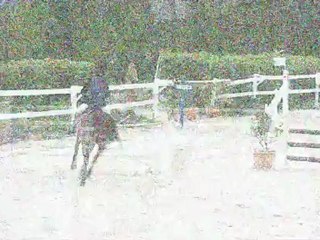 Concours au Manoir le 21 avril