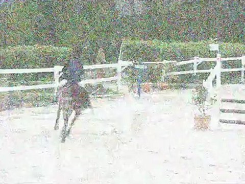 Concours au Manoir le 21 avril