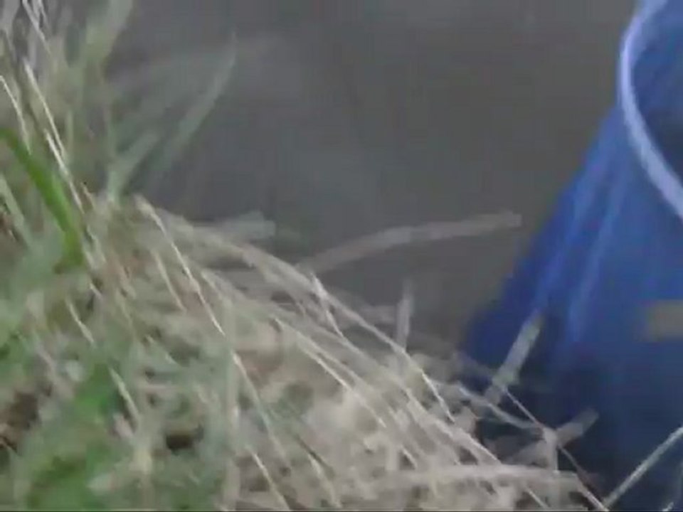 video peche 2012