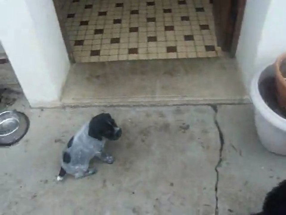 1ere sortie
