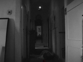 der Backofen (deutsch)