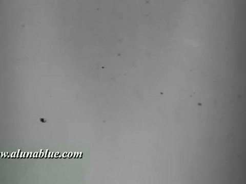 HD Stock Video - Flicker clip 03 - Video Backgrounds