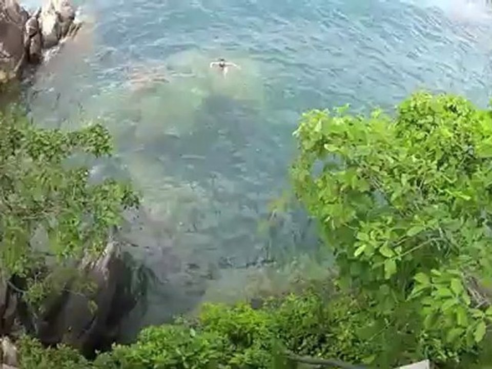 Jumping Zulunkhuni