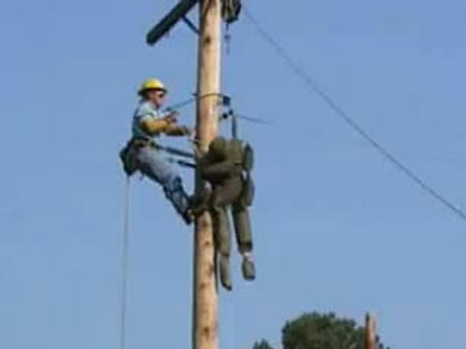 Régis sur un poteau téléphonique