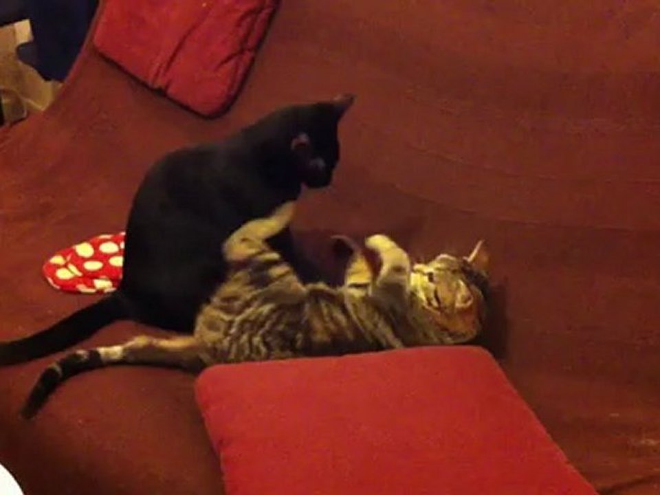 Willy et Yumi qui jouent