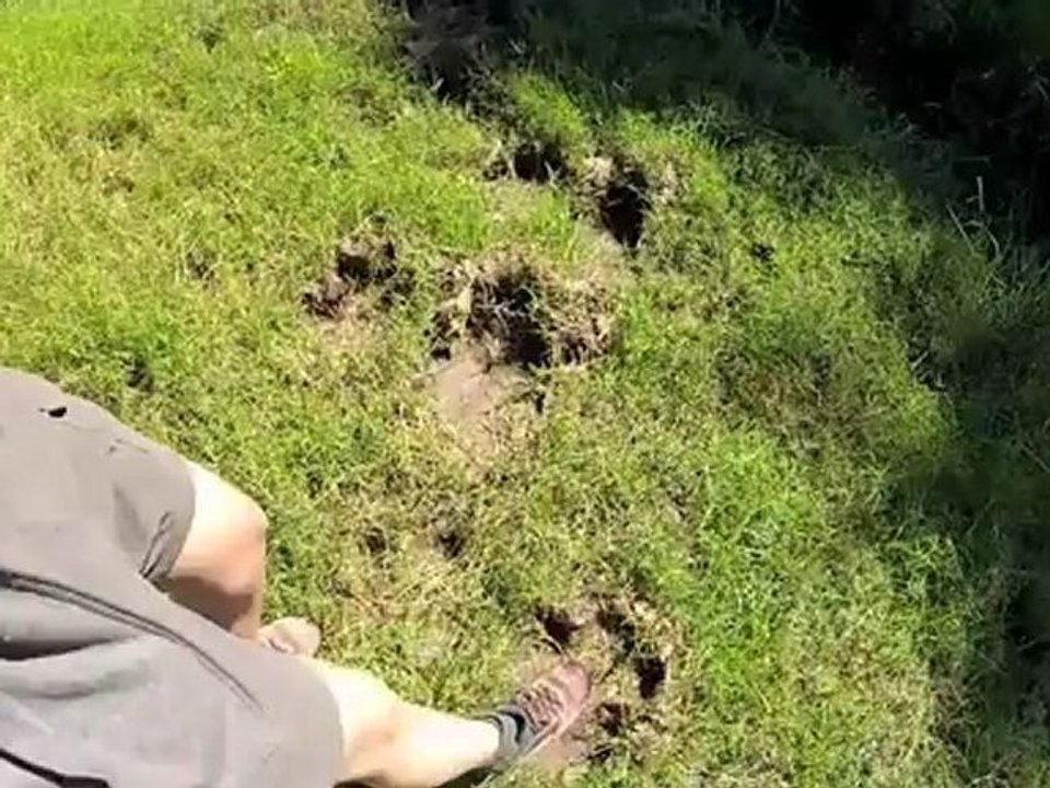 Walking South Luanga