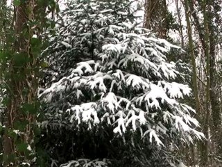 Exercice sur le texte Lukas F. 5TAV