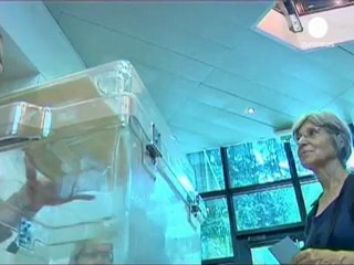 Elecciones en Francia: el voto en el extranjero