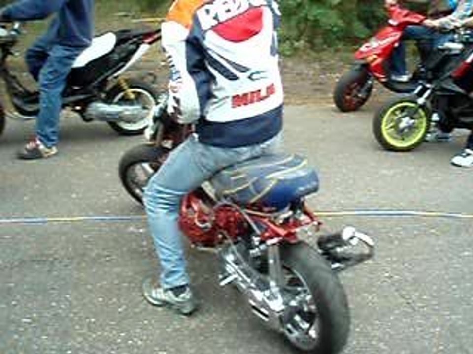 spitro manston vs nitro top perf due +