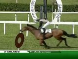 22.04.2012 Milano (ITA) 3.Race Premio Ambrosiano 2012 - Group III 2.000 m