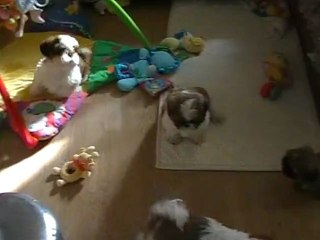 Les BB de Divine et les BB de Fushia