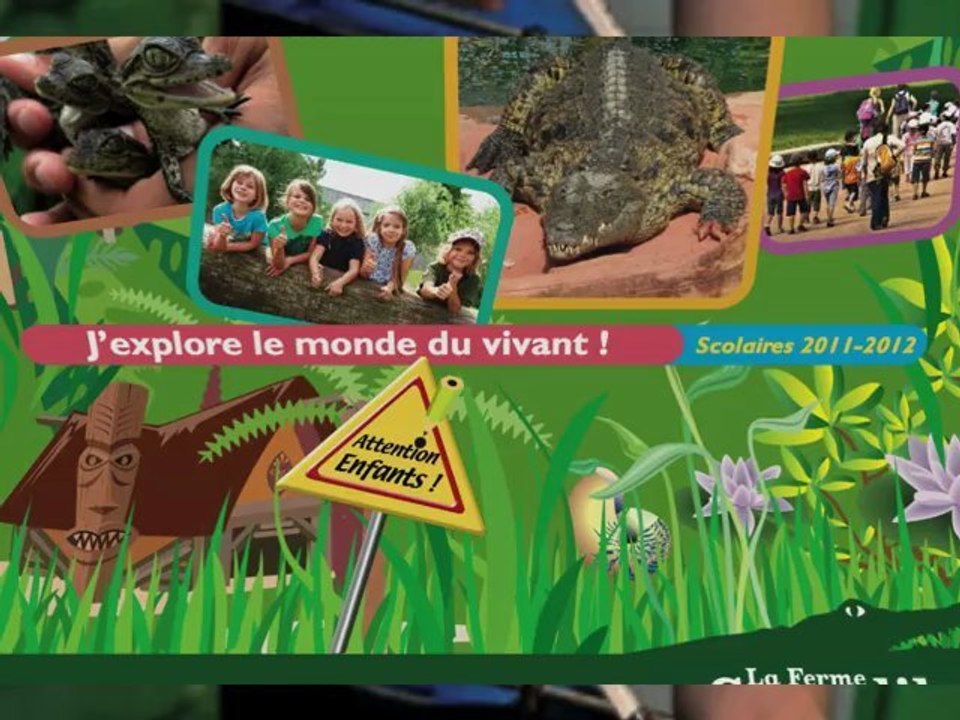 video crocos 3