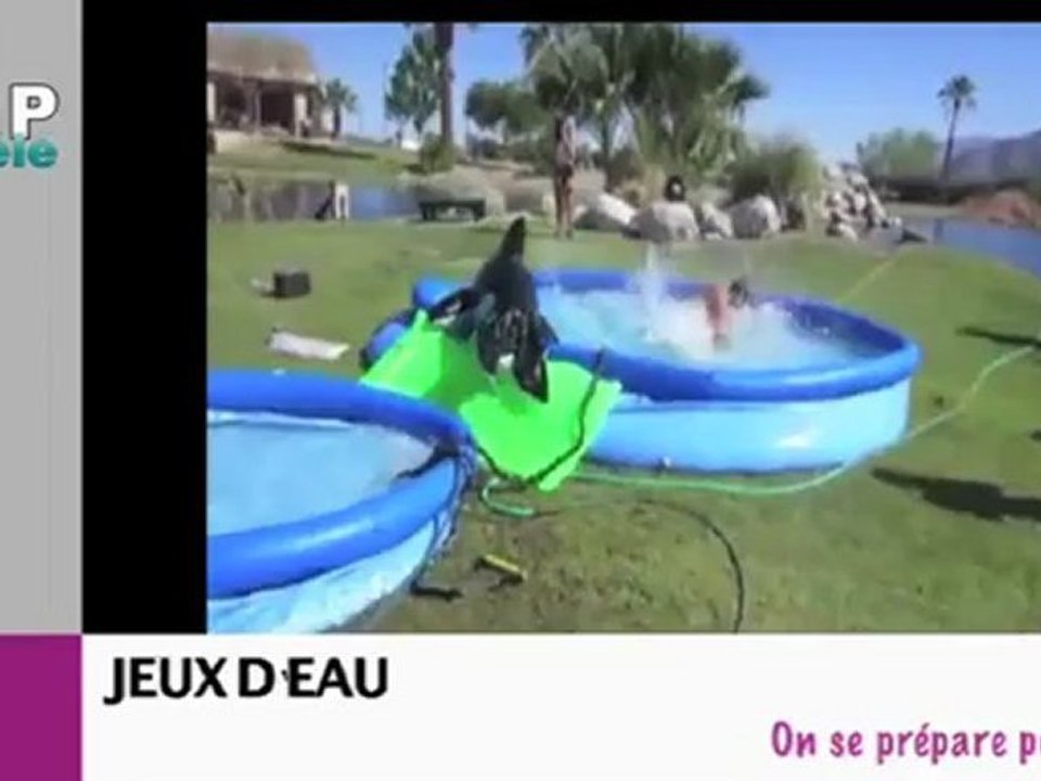 Zapping du net du 23 avril 2012