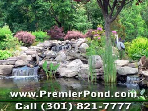 Pond Maintenance Silver Spring MD