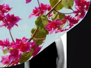 Last time together(Sofia)