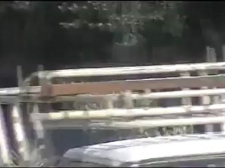 فري برس  حماة المحتلةانتشار الشبيحة بعد ذهاب المراقبين من حي 22 4 2012 Hama