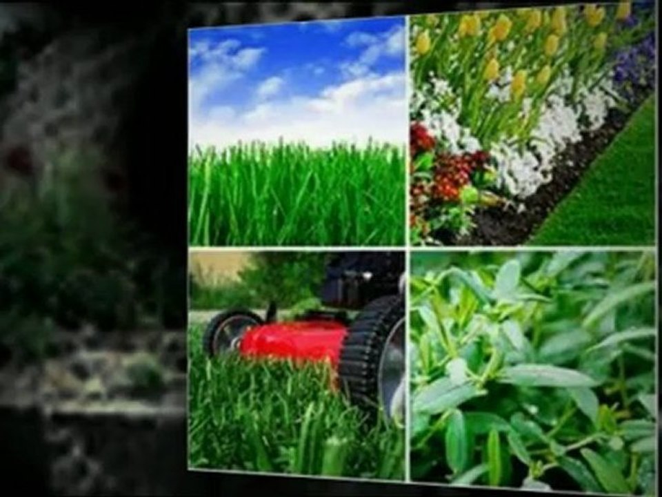 Citizen K9 Protection Dog Training