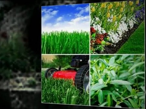 Citizen K9 Protection Dog Training