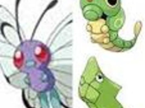 Pokémon HeartGold 05 - Le Bois aux chênes
