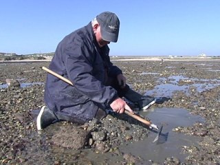 Quiberon | Les Grandes Marées d'Equinoxe | TV Quiberon 24/7