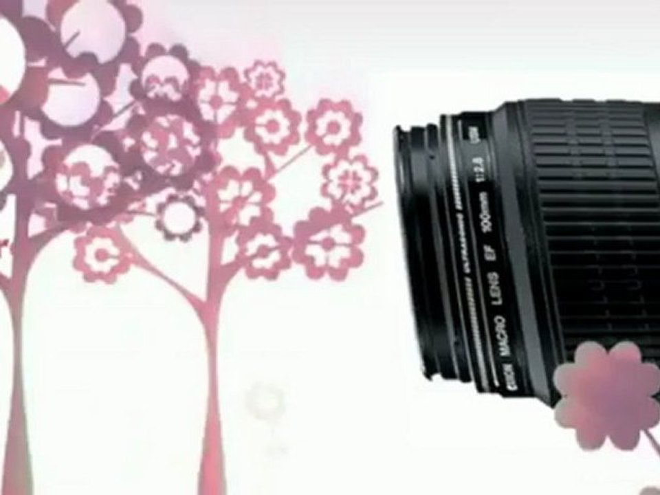 Best Price Review - Canon EF 100mm f 2.8 Macro USM Lens ...