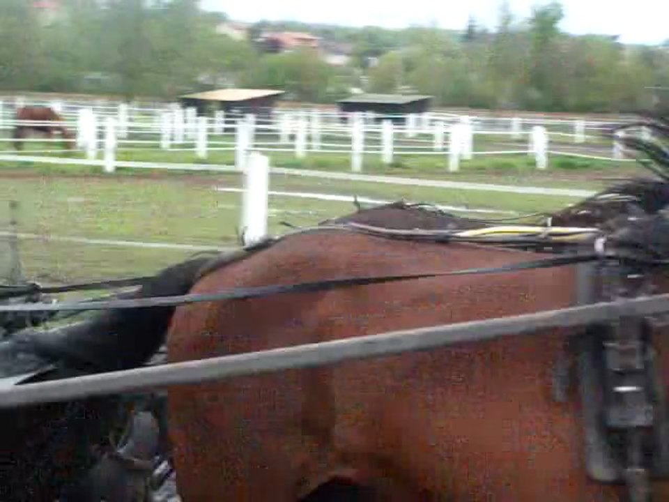 amalhayati21042012b