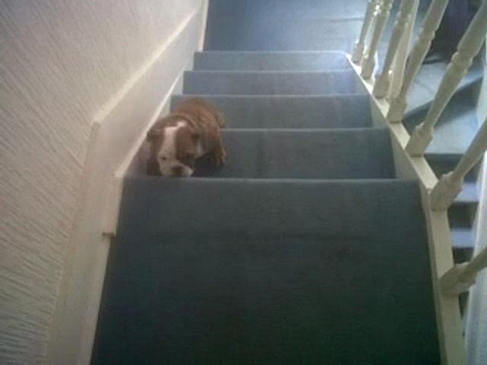 June monte ses premiers escaliers !