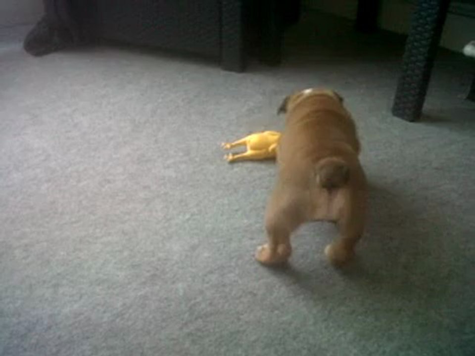 June - joue dans la chambre de mamy & papa . . .