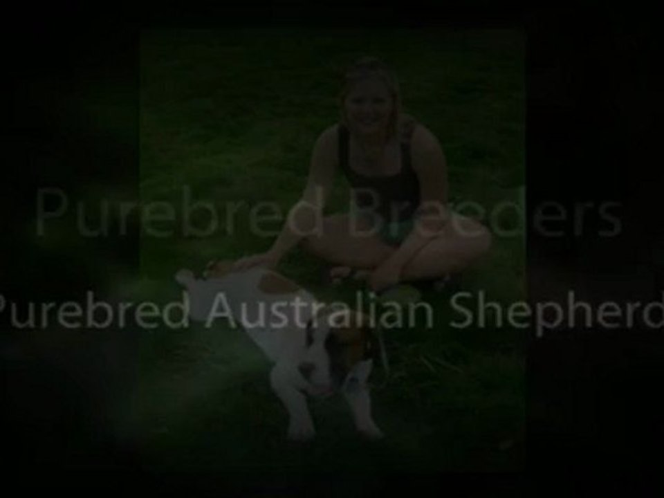 Difference between Purebred Breeders and Puppy Mill Dogs