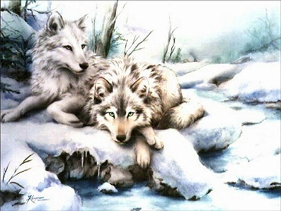 for my love