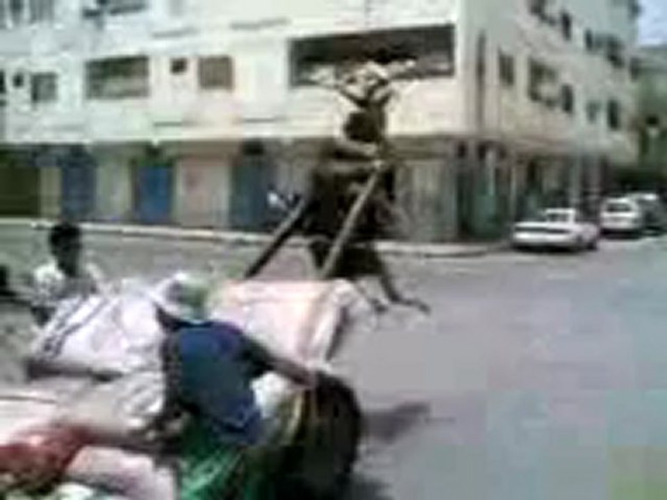 LA HMAR