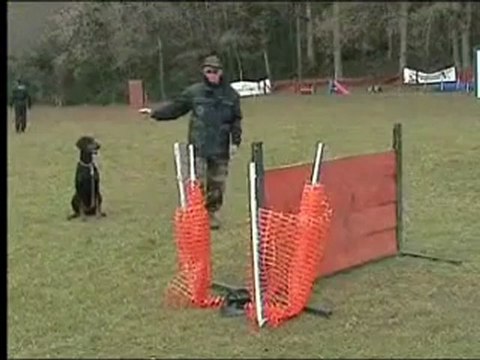 fatale beauty vom heckendorf entr obé rci certificat