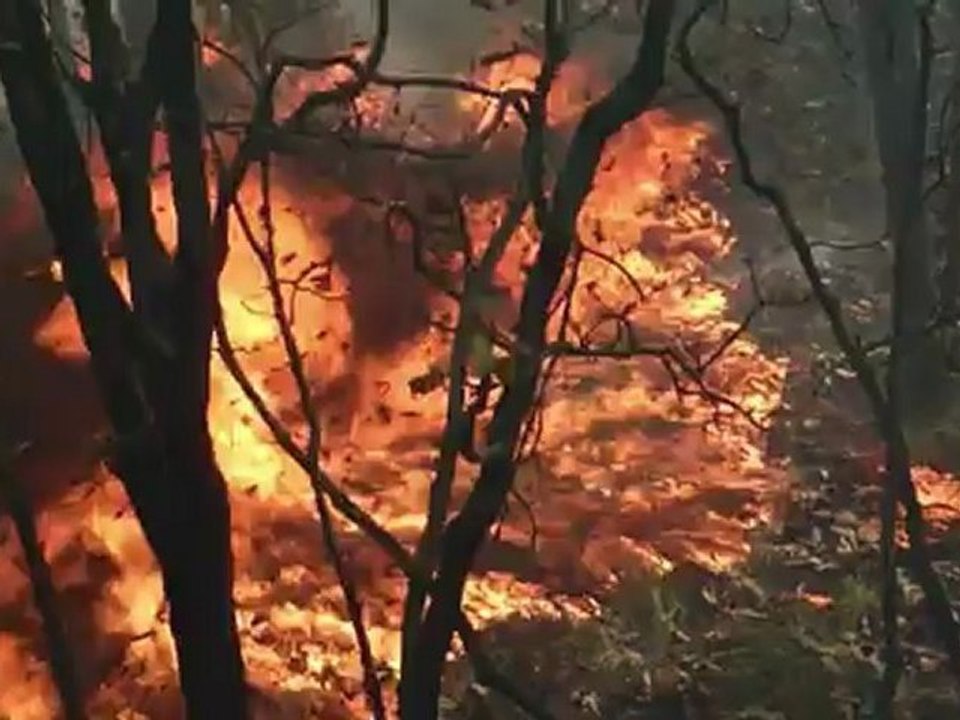 Incêndio em Guadalajara
