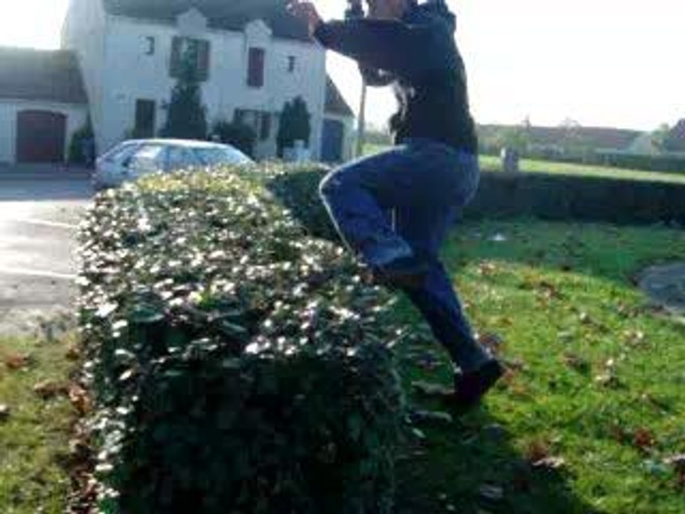 jimy qui se bouffent