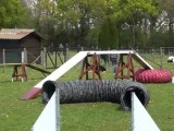 Ghuyes des Gardiens de la Houlette entraînement Agility N°1